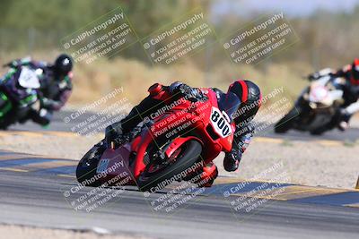 media/Oct-19-2024-CVMA (Sat) [[7df39c5a0d]]/Race 1-Formula Open/